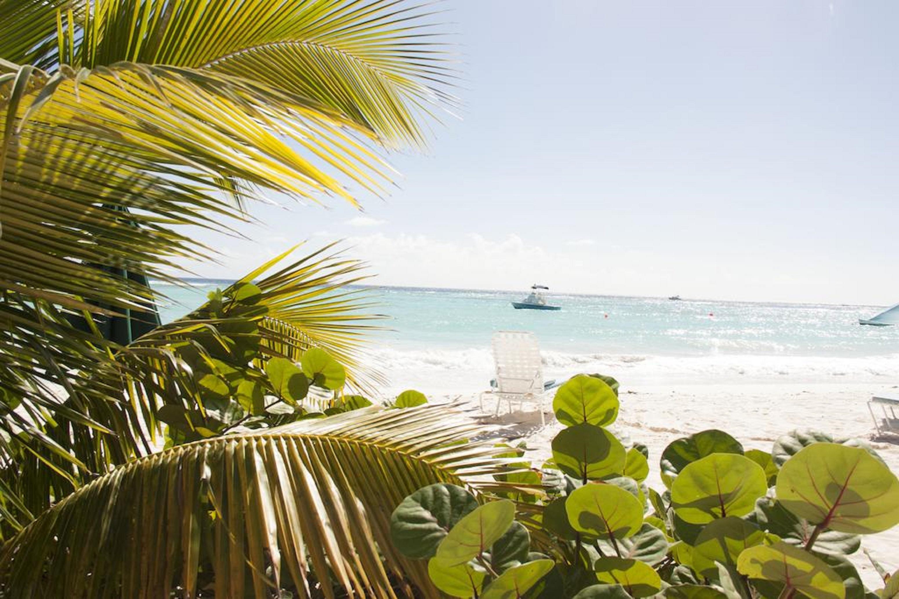 Palm Garden Hotel Barbados Bridgetown Exterior foto